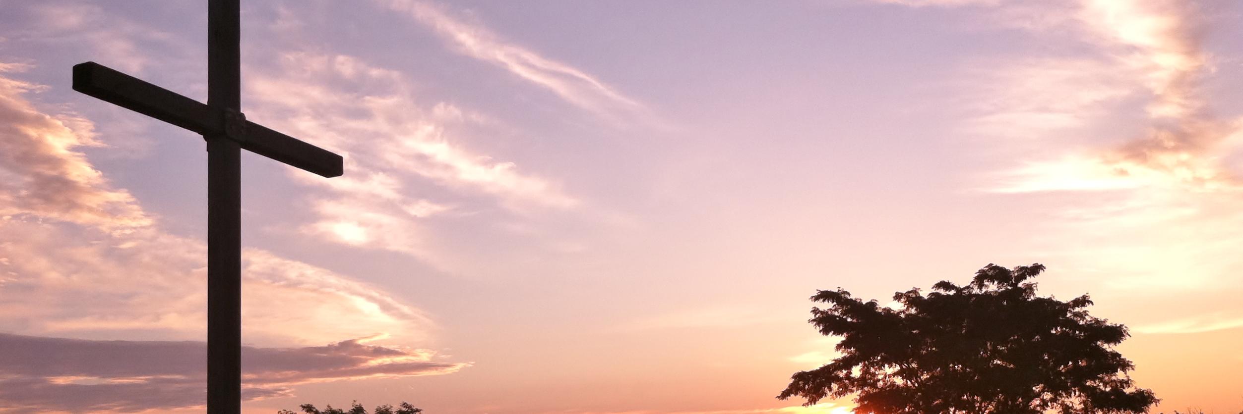 alyjhart's profile banner image