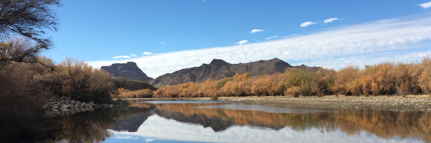 Andrew Collins banner