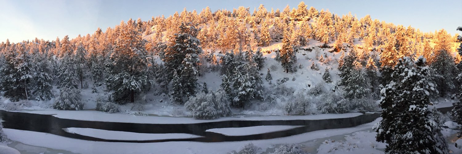 whatelsekitty's profile banner image