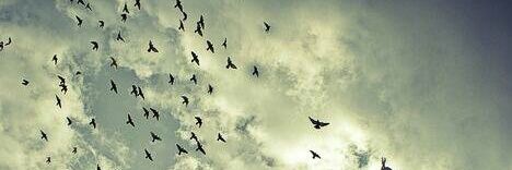 max_angy22nor's profile banner image