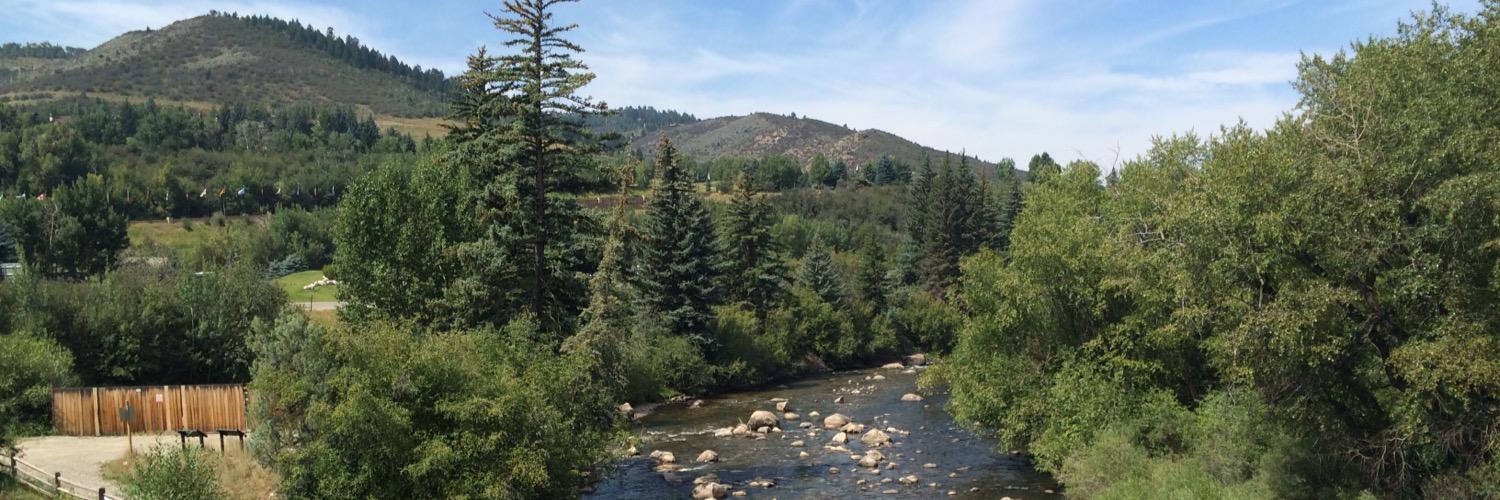 Matt Eades ☀ banner