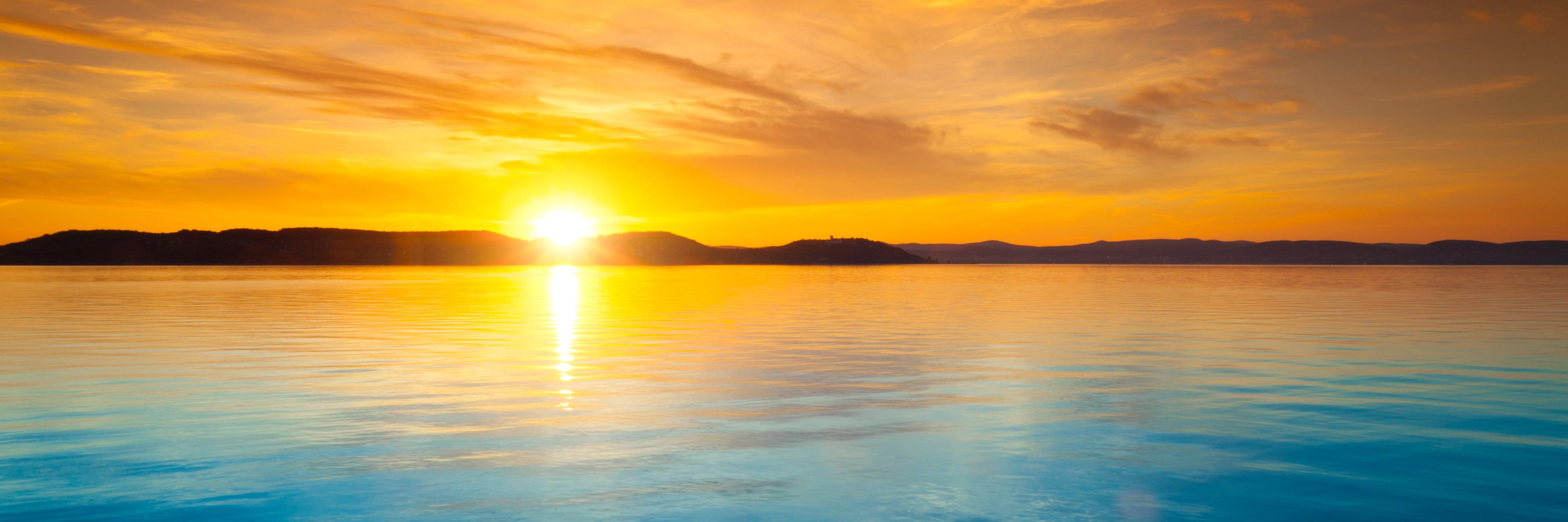 Steven Thomas banner