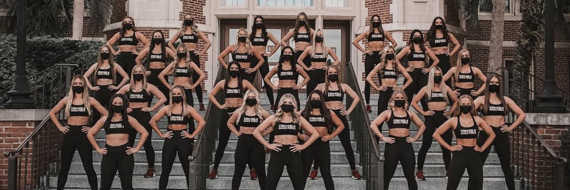 FSU Seminole Dance Force banner