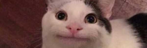 PrawxyTV's profile banner image