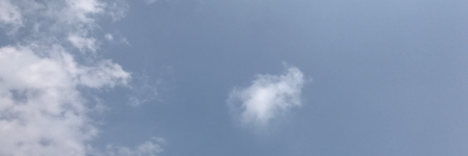eranpolack's profile banner image