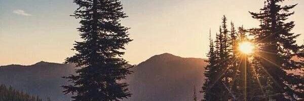 lowrdez_'s profile banner image