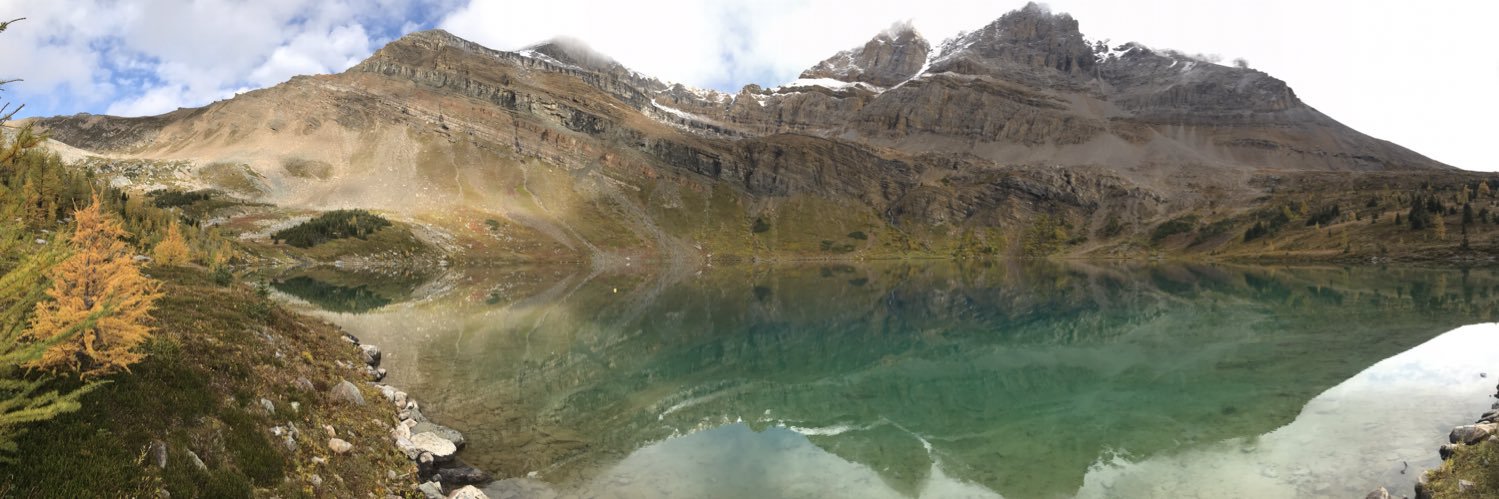 Michael Sinko banner