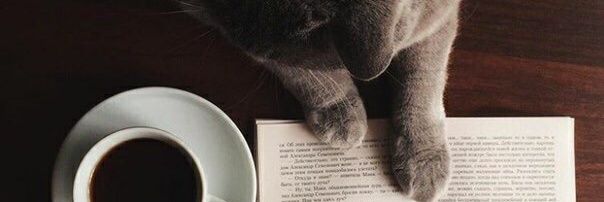 Kooyangi & Hachi banner