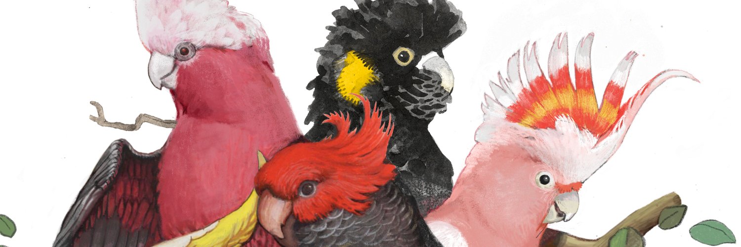 RapShedNinja's profile banner image