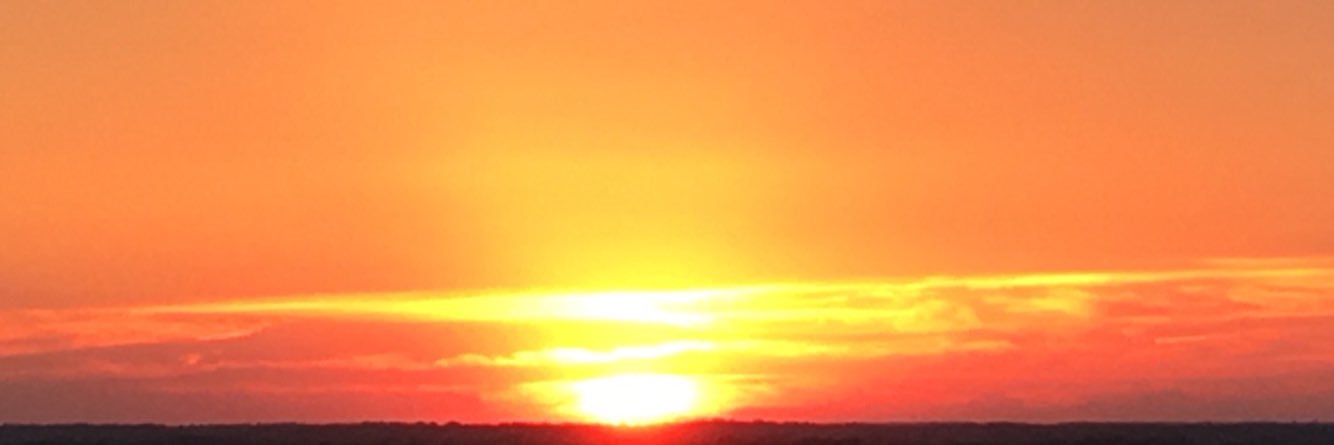 allSKAD_dered's profile banner image
