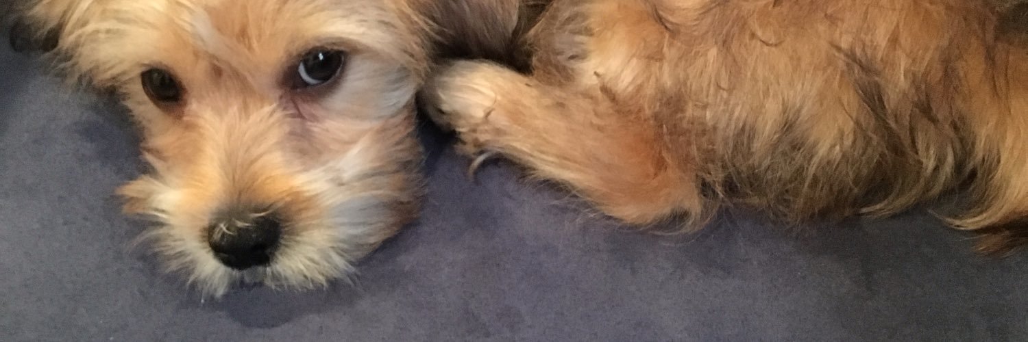 i banner