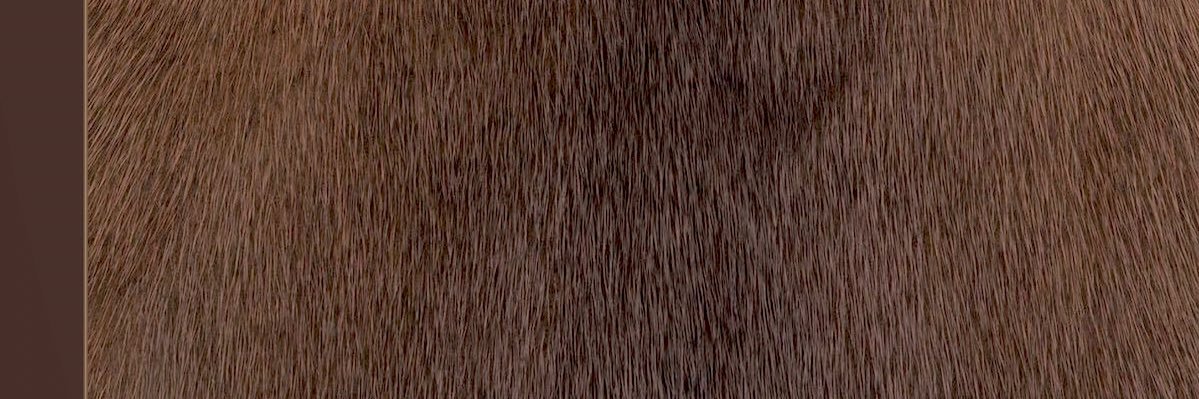 ningninx's profile banner image