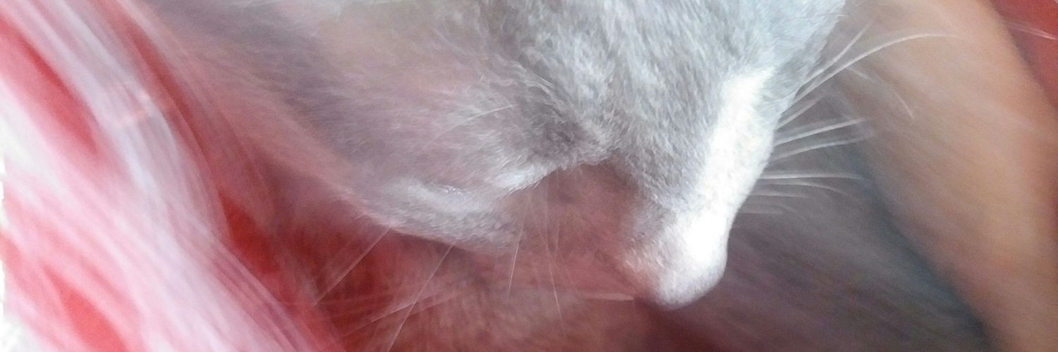 blechdosenfee's profile banner image