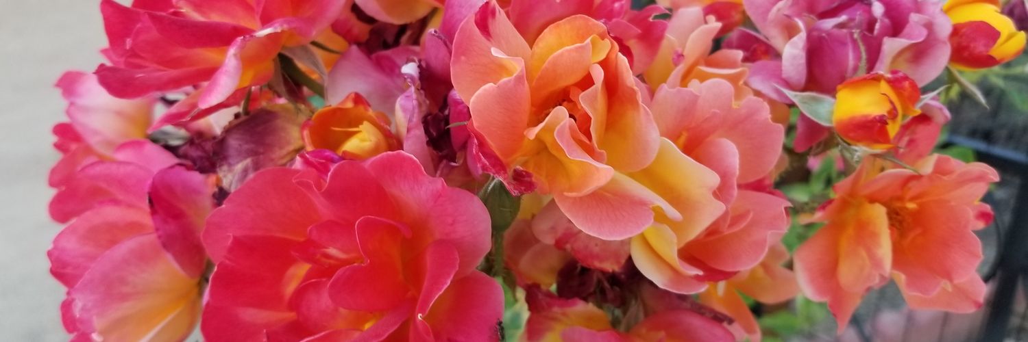 vaL_mal_mereL's profile banner image