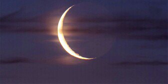 🌹Sofia💐 banner