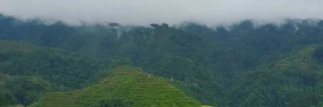 mpinedamd's profile banner image