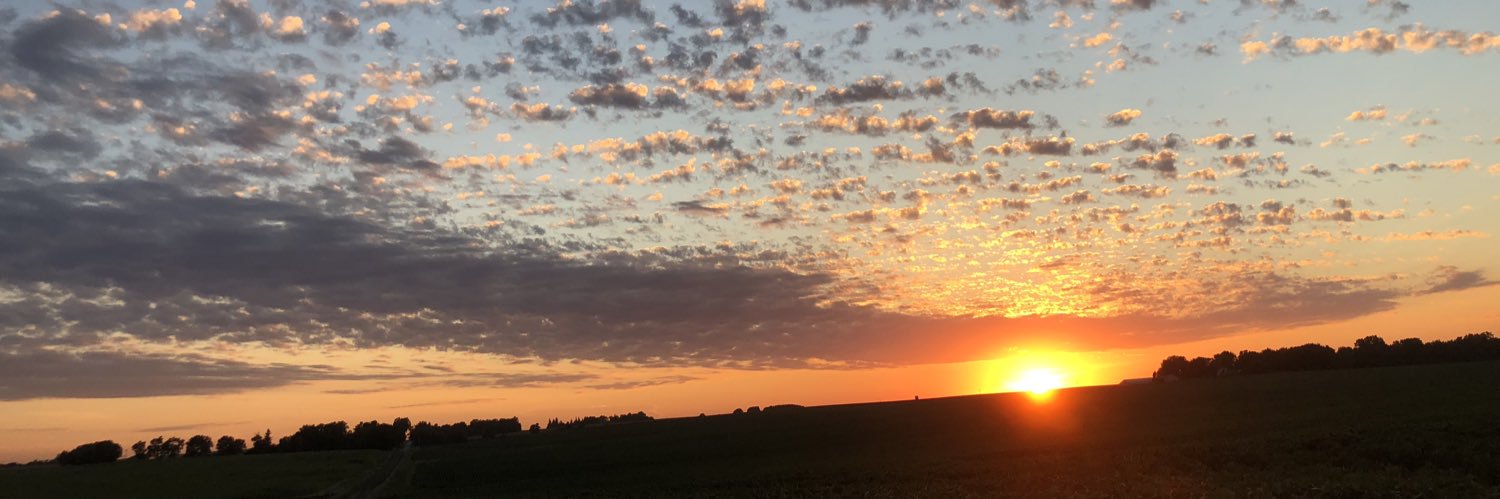 zkoerselman's profile banner image
