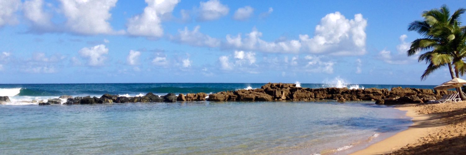 Laura Santini banner