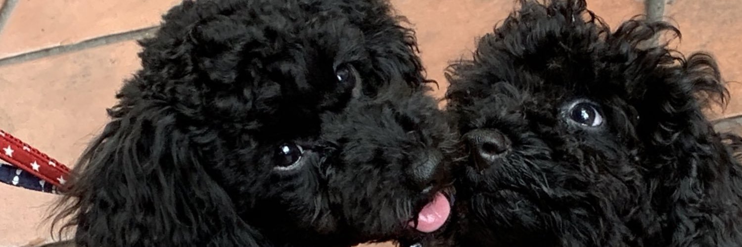 コロ(eganse) banner