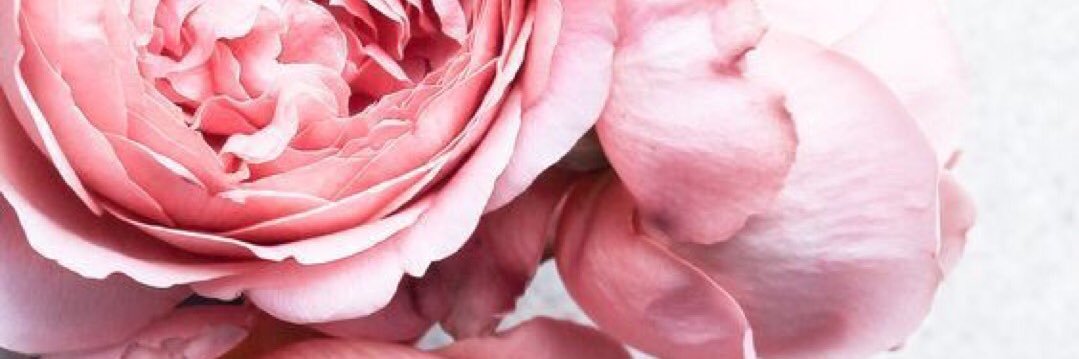 MrsStacyLaws's profile banner image
