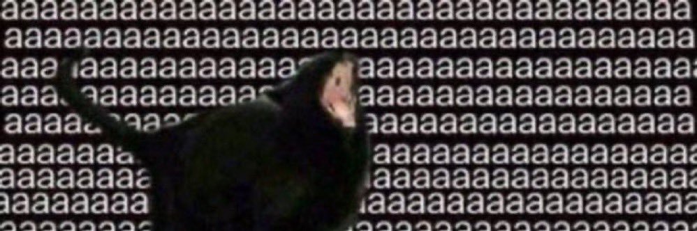 zoloftpapi's profile banner image