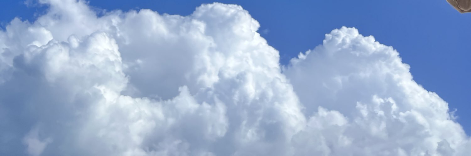 kerryCopitote's profile banner image