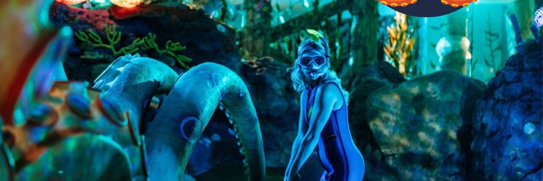 Castle Fun Park banner