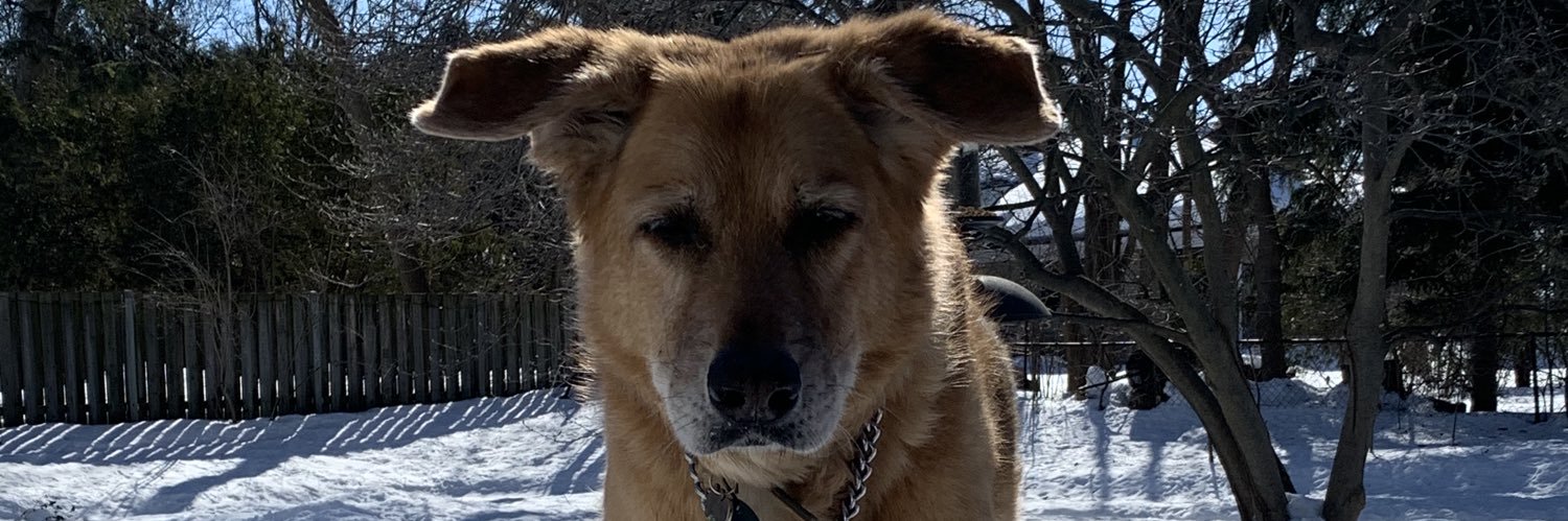 oskarhstanle's profile banner image