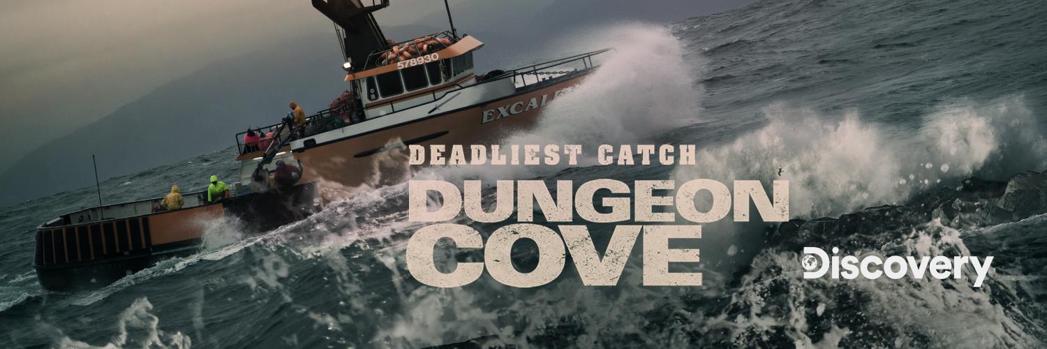 DungeonCove's profile banner image