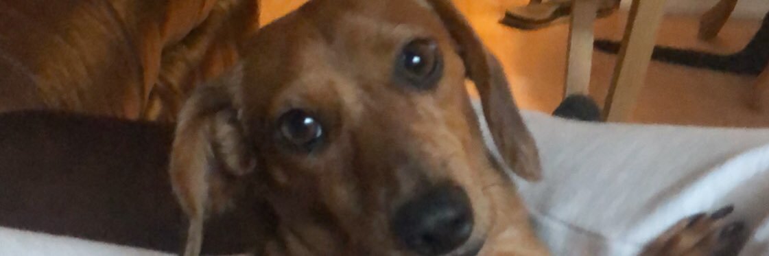 MattyDA9's profile banner image