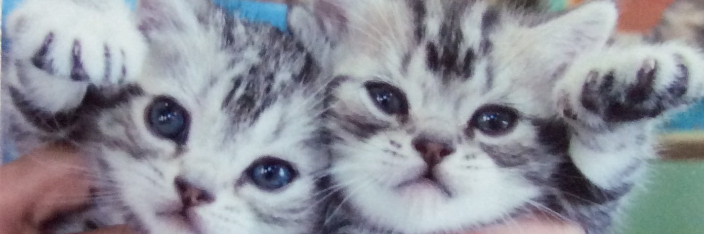 hapilaki222's profile banner image
