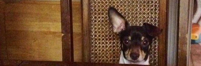 Selinerr_'s profile banner image