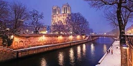 Sherine Dwedar banner