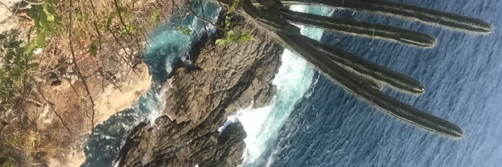 BridgeetParrott's profile banner image