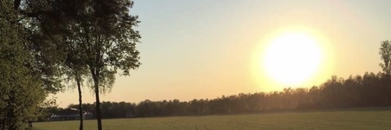 maaly733's profile banner image