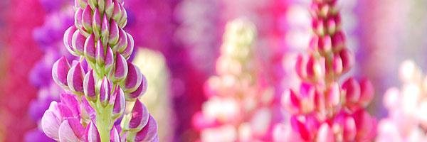 ClayZeilingerAR's profile banner image