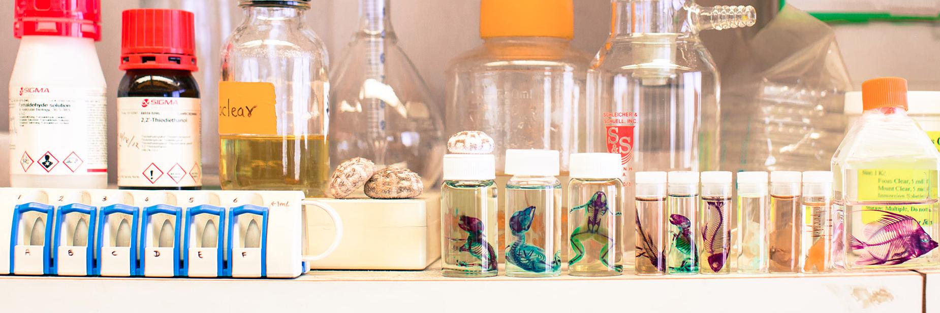 Shifaan Thowfeequ banner