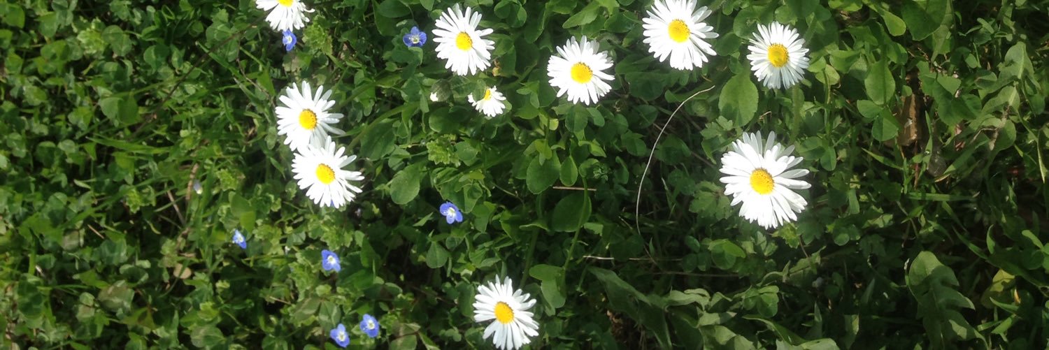 OrtieCo's profile banner image