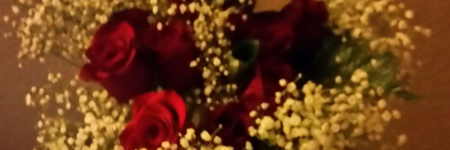 sparkey03's profile banner image