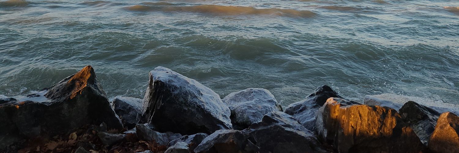 YouTubeLTAS's profile banner image