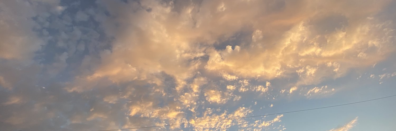 AngelaElany's profile banner image
