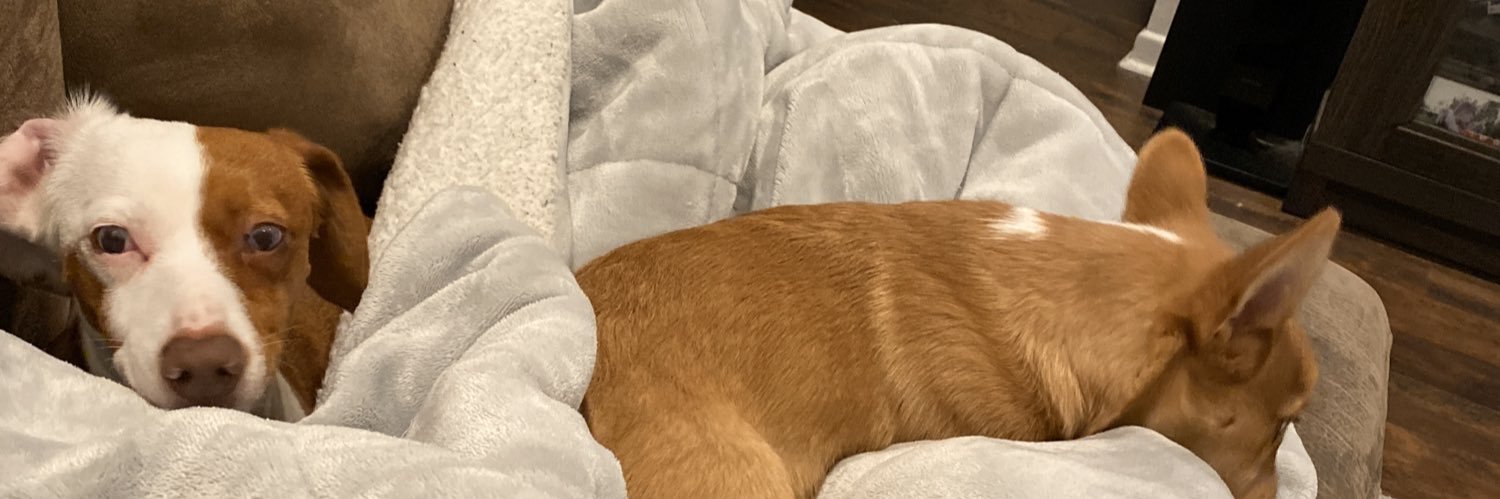 lexilynn97's profile banner image