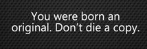 Team_danix3 Profile Banner