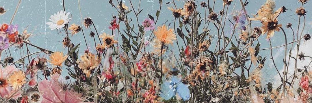 Wildflowers banner