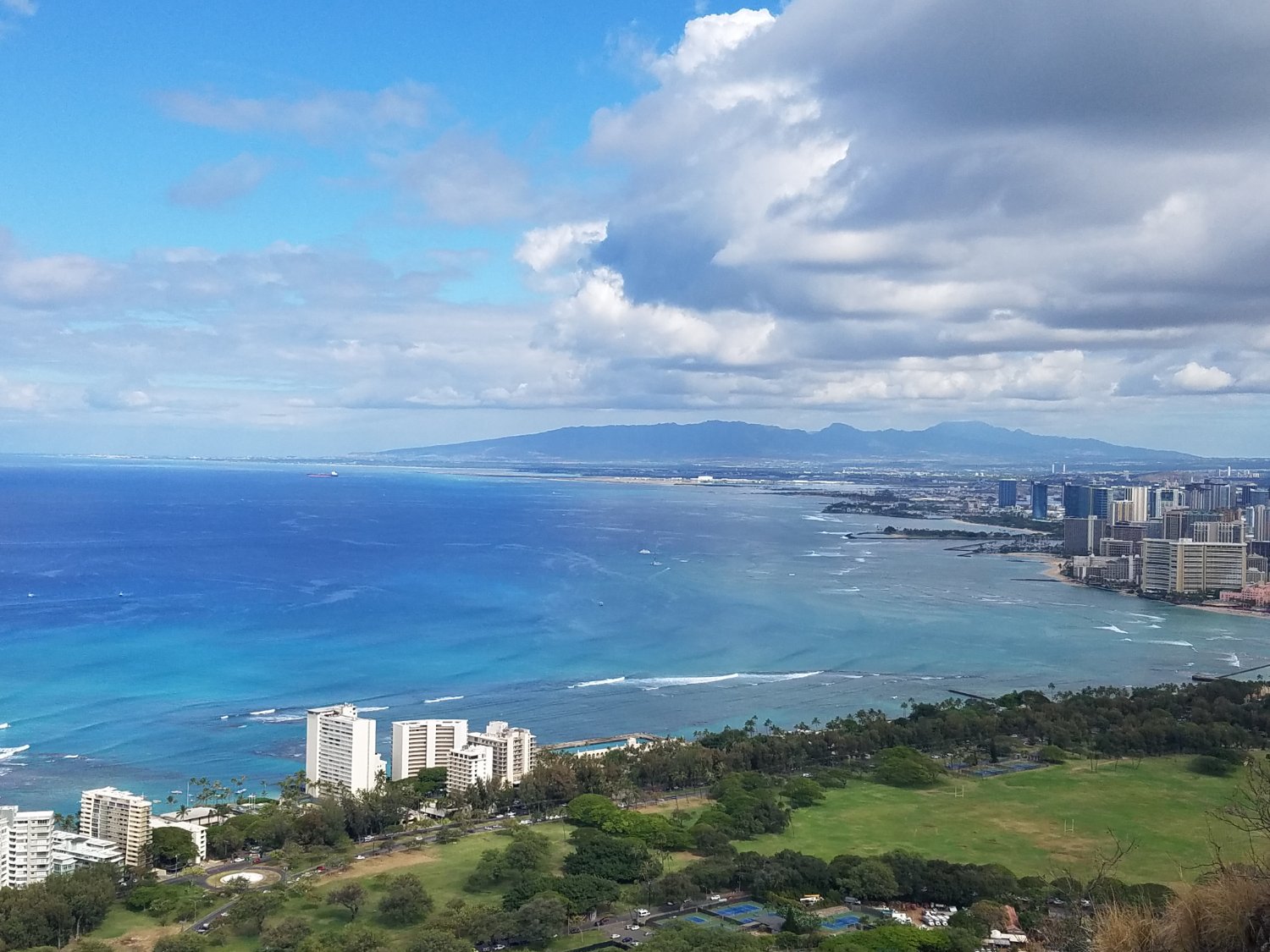 David C. Madoff, MD banner