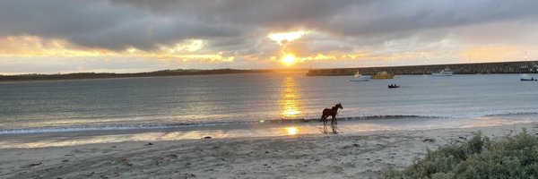 Tomocca08 Profile Banner