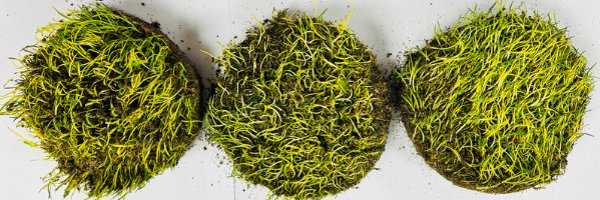 BrooksideLabs Profile Banner