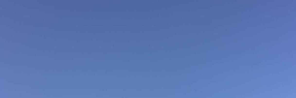 Louis. banner
