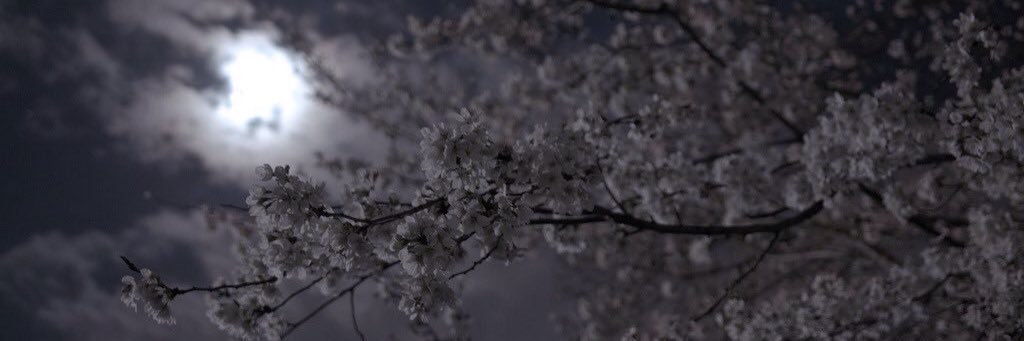 NONA_7Z7's profile banner image