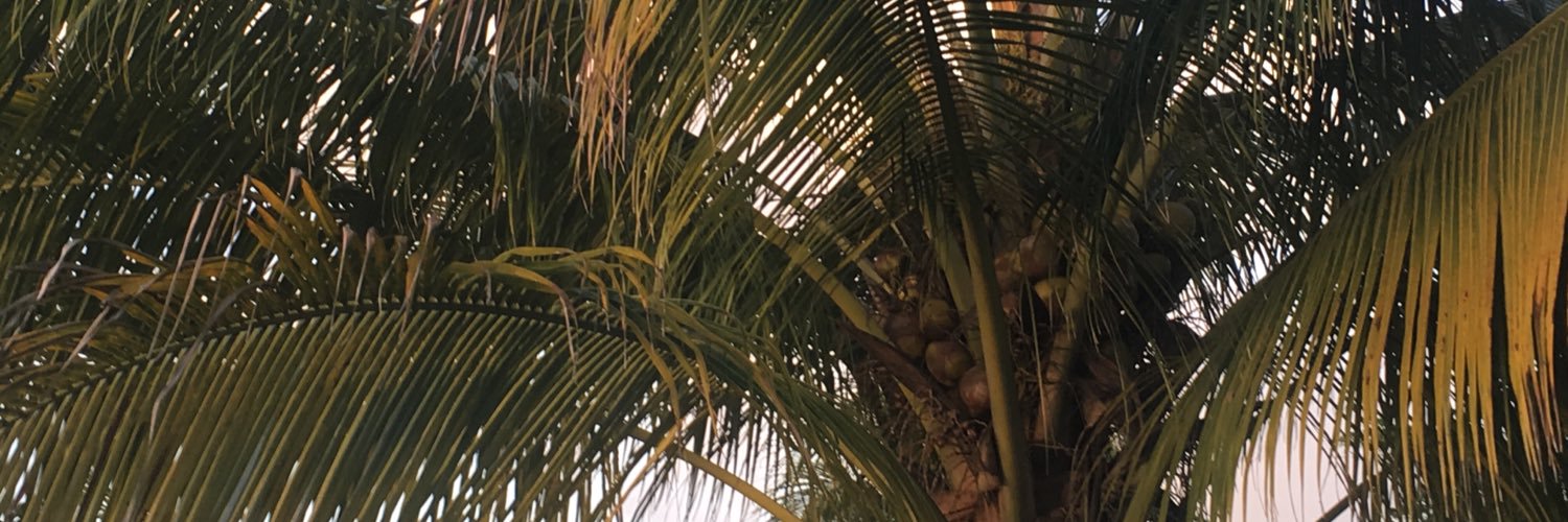 BrownBourgeoise's profile banner image